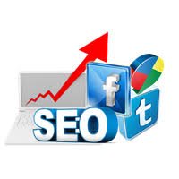 SEO(Search Engine Optimization)